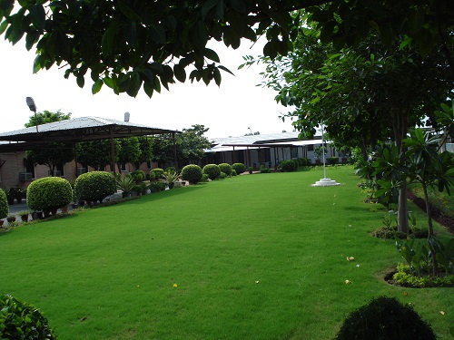 carpetgrass delhi india